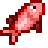 Red Mullet